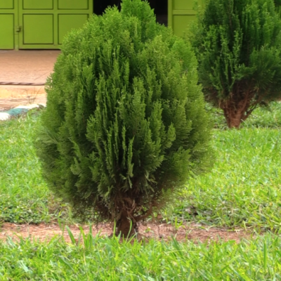 Kakamega School Joins Global Air Quality Monitoring Initiative