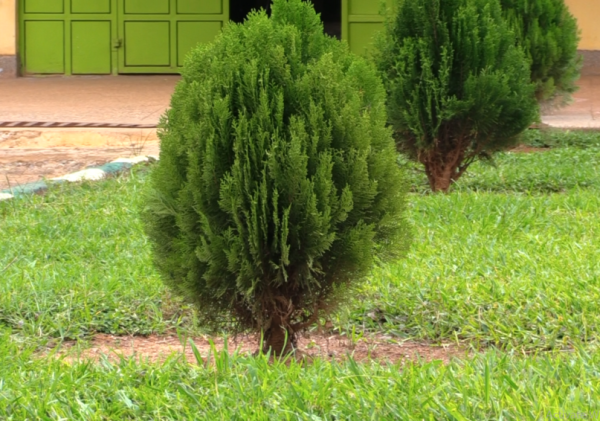 Kakamega School Joins Global Air Quality Monitoring Initiative
