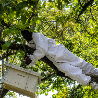 How WMF Is Bringing Local Youth Into Kakamega Forest Restoration