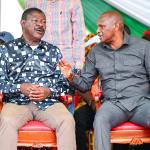 Wamatsi Boycotts Washiali-Organised Empowerment Forum as Western Leaders Back Wetang'ula for Ruto's Running Mate